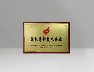 高新技術(shù)企業(yè)